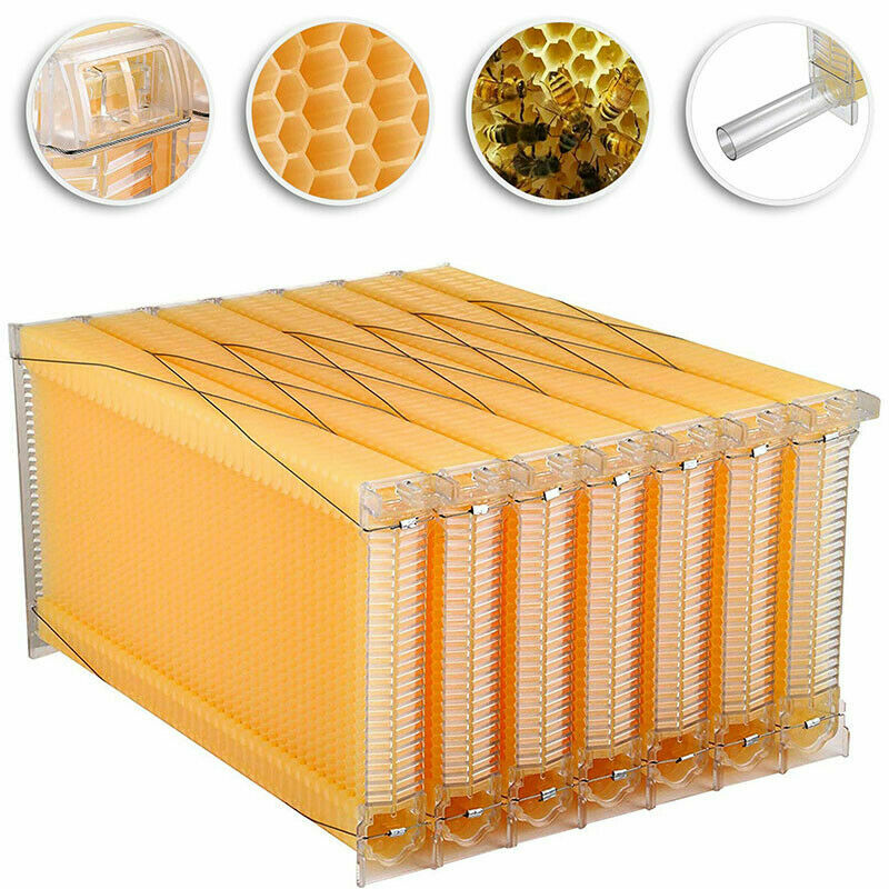 Beehive 7 Frames Complete Box Kit Bee Hives Auto Bee Frames + Beekeeping House