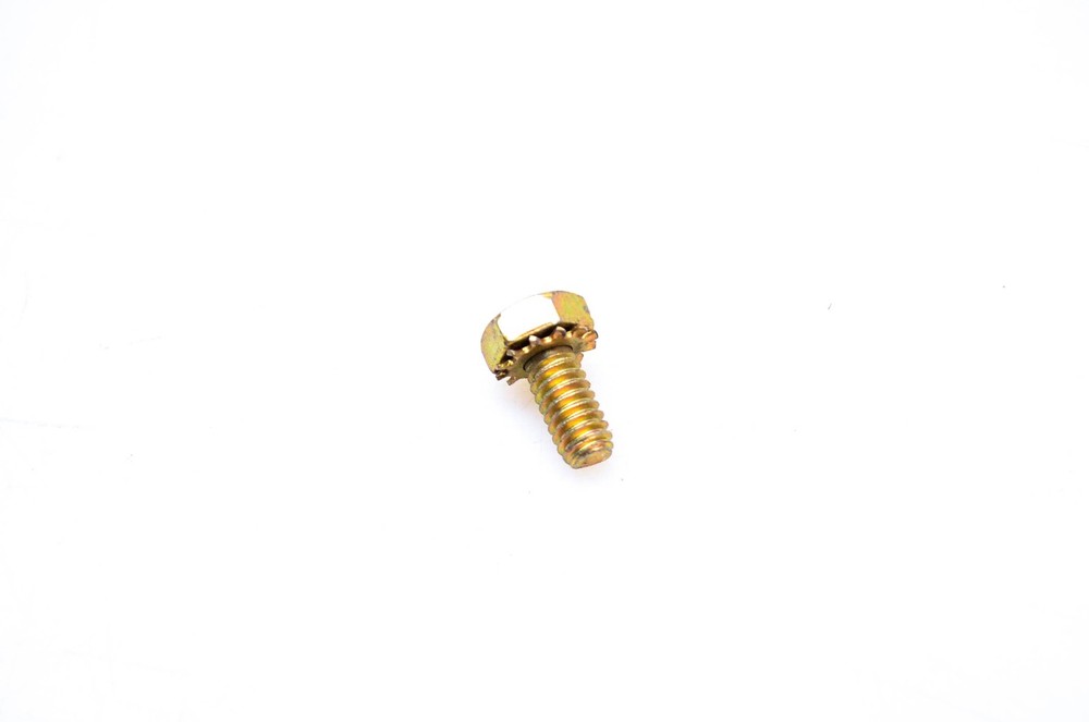 OMC 313117 Screw NOS