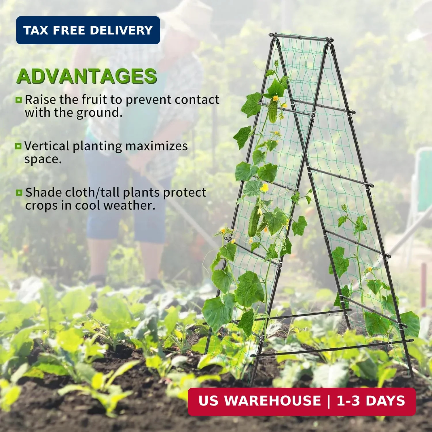 Garden Trellis for Climbing Plants, 71" H x 32" W Metal A-Frame Cucumber Trellis
