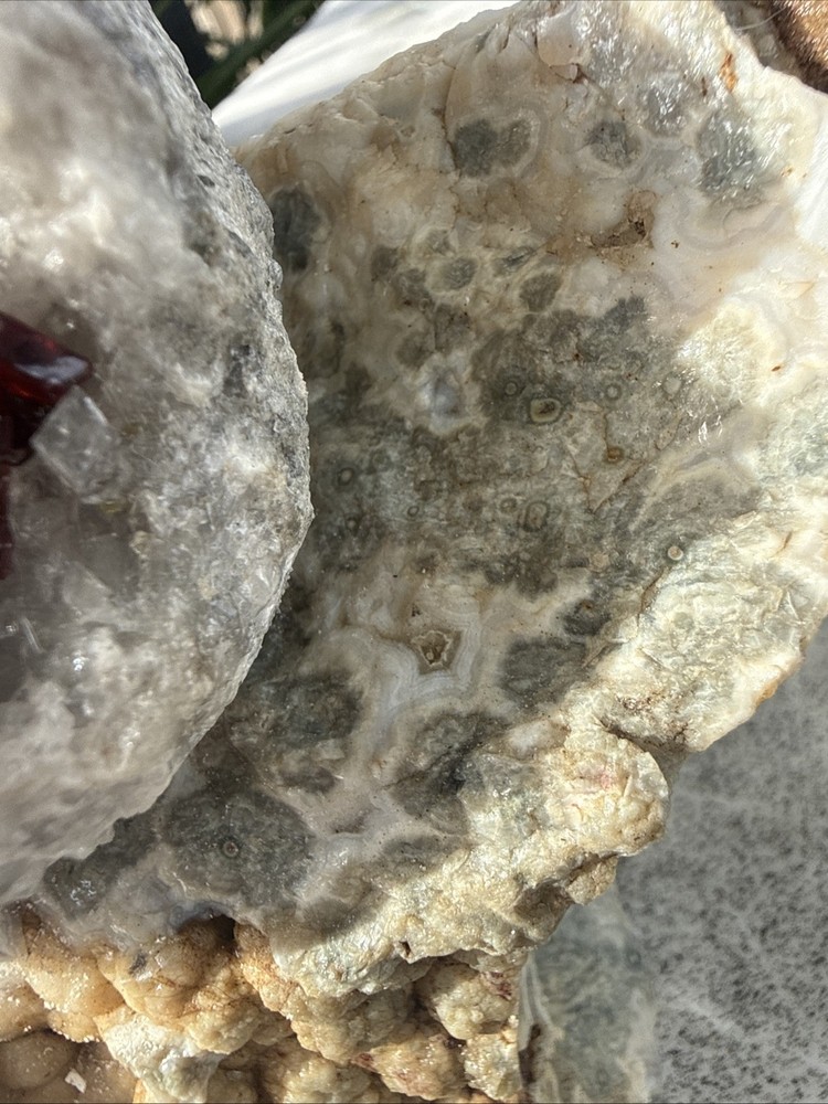 Carved Ruby Buhda On Ocean Jasper Faced Rough, Incredible Orbs Red Crystals 6”