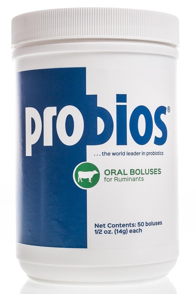Probios Bolus, 0.5 oz, 50/jar