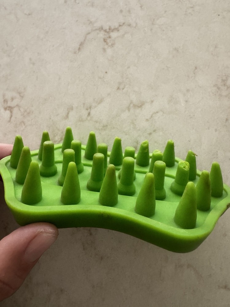 Posture Prep Groomer For Horses