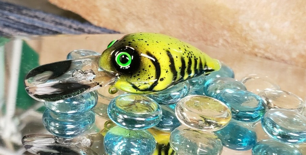 custom painted Wiggle wart crankbait (CRAW)