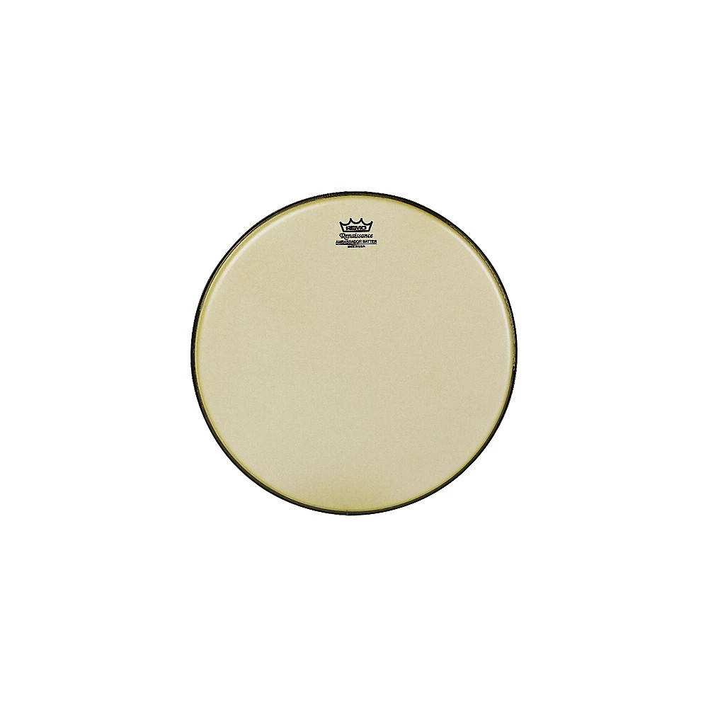 Remo Renaissance Ambassador Tom Batter 8 in.