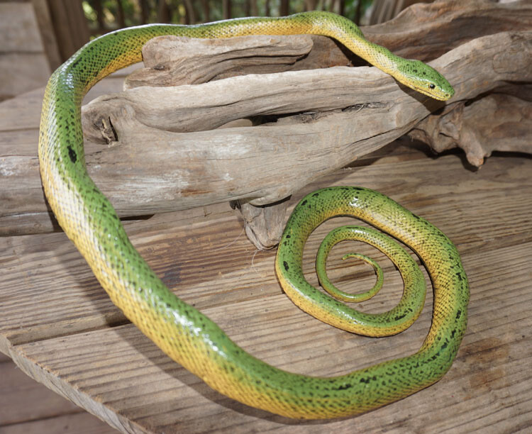 Green Mamba -52" Realistic Snake Replica - Rubber AAA