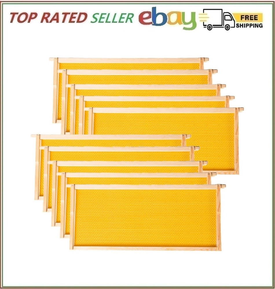 Deep Brood Beehive Frames with Wax Foundation,10 Pack Honey Bee Frames with 1...