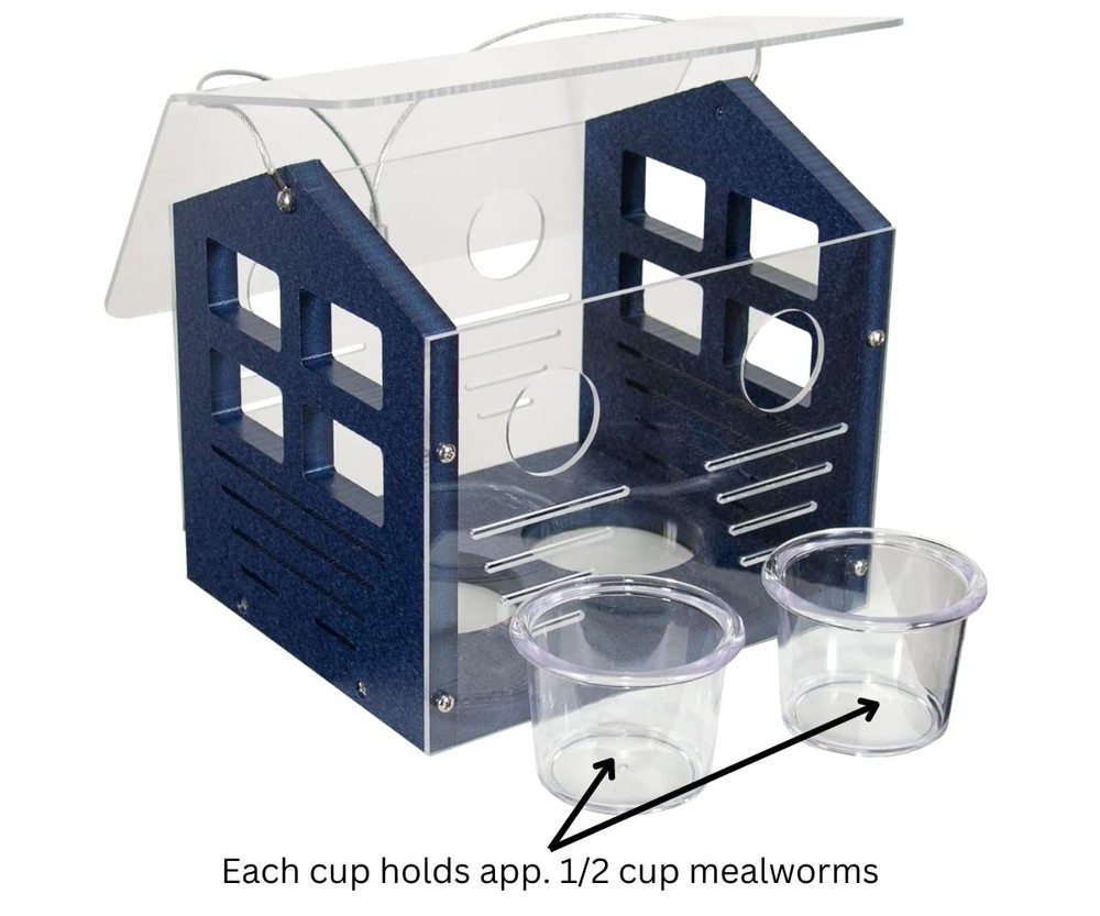 JCS Wildlife Enclosed Bluebird Feeder 2.0