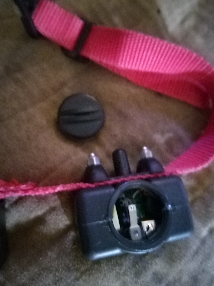 Pet Safe BC-103 OM Small Dog Shock Basic Bark Training Collar Tested Battery Inc