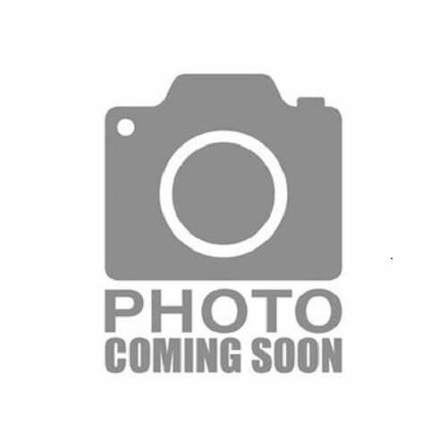 Disney's Print Studio - Pooh, Software