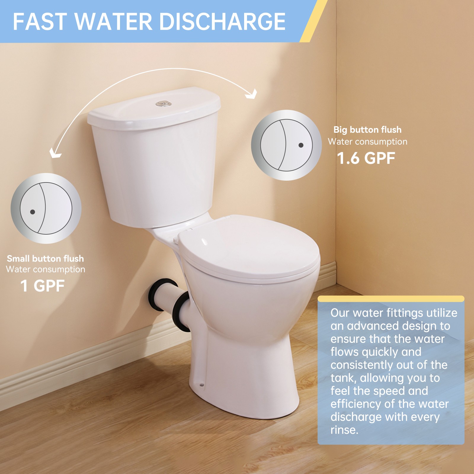 19 Inch Tall Toilet Rear Discharge Toilet with Dual Flush 1/1.6GPF for Seniors