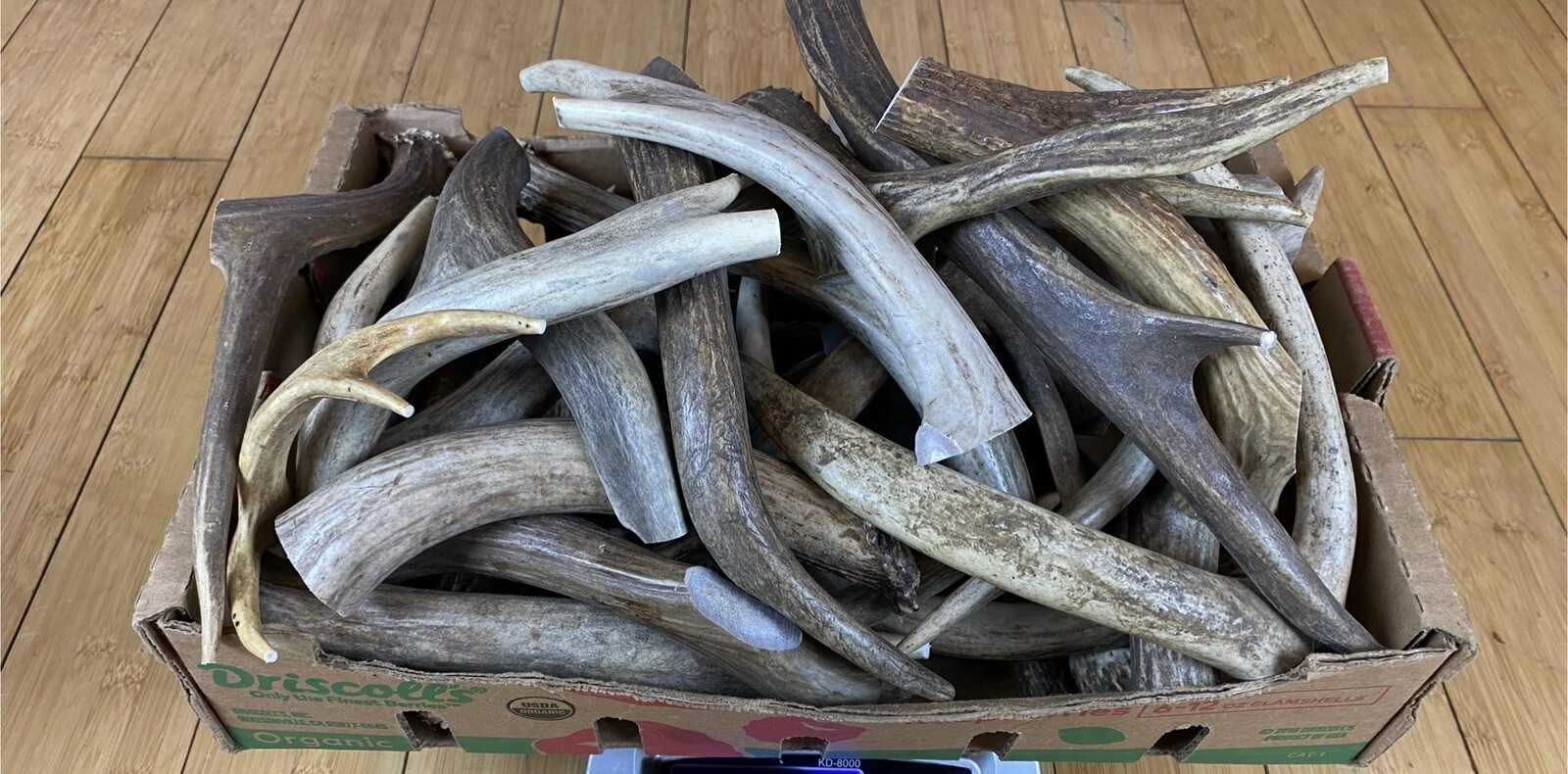 * Dog Chews * 1Lb Large Deer Antler Chews ~ All Natural, Organic HIGH QUALITY