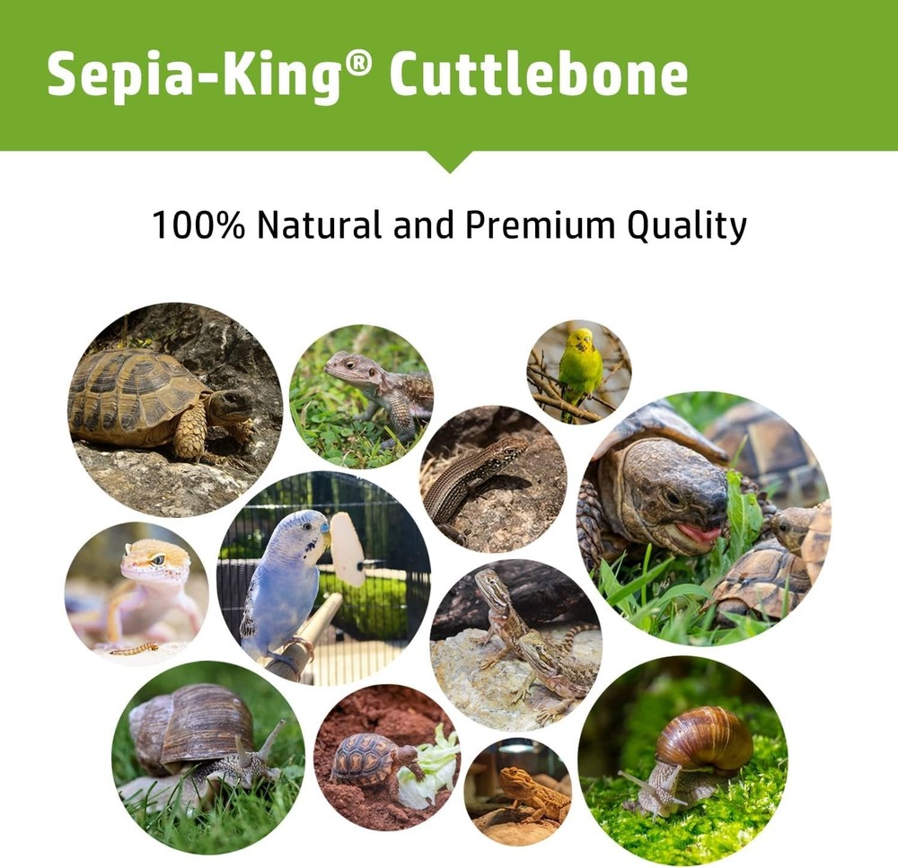 - Extra Large - 100% Natural Calcium Supplement - Premium Cuttlebone Perfect