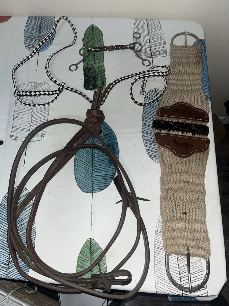 Horse Tack Lot Training Halter, Bit, Girth, Split Reins