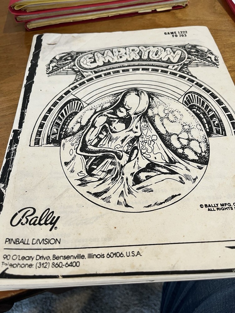 Embryon Pinball Manual