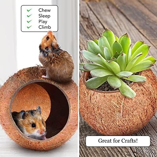 SunGrow Coconut Shell House for Gecko, Snake & Ball Python, Raw Coco Brown