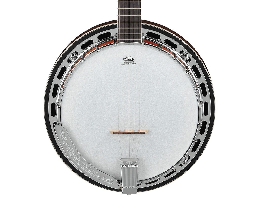 Ibanez B200 5-String Banjo