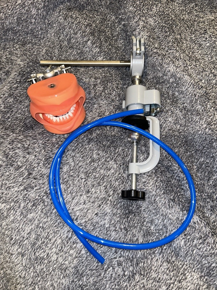 Dental Typodont Training Model Mount Kit