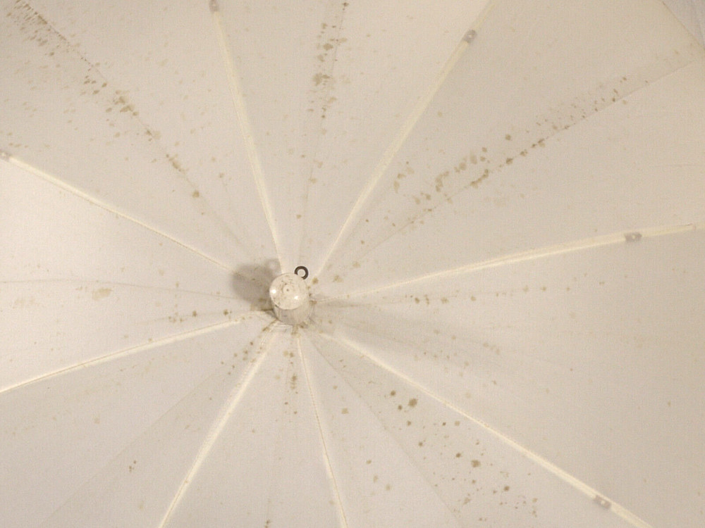 PRL) EPG 2x WHITE SOFTBOX UMBRELLA FLASH DIFFUSER PHOTO STUDIO UMBRELLA