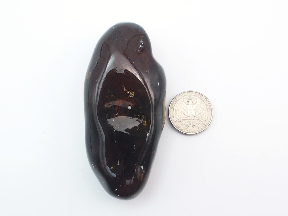 Fully Polished Mexican Amber