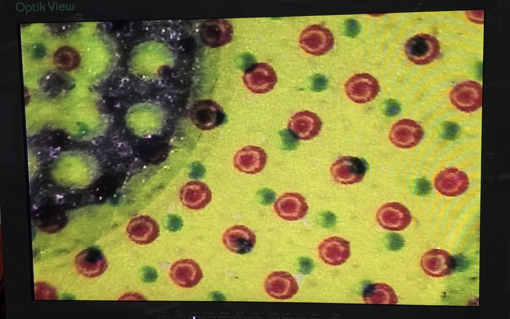 Sentech STC-HN63CC C Mount camera