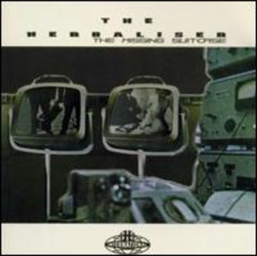 Missing Suitcase,When I Shine,CD, Herbaliser (Cd5 Maxi-Single, 1999)