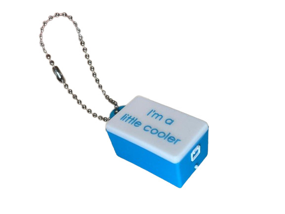 Little Cooler Keychain