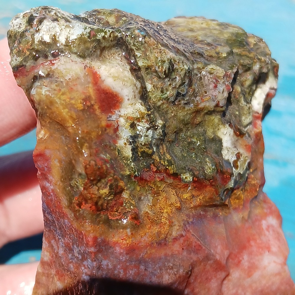Murray Mountain Jasper Unique Rough Lapidary Potential