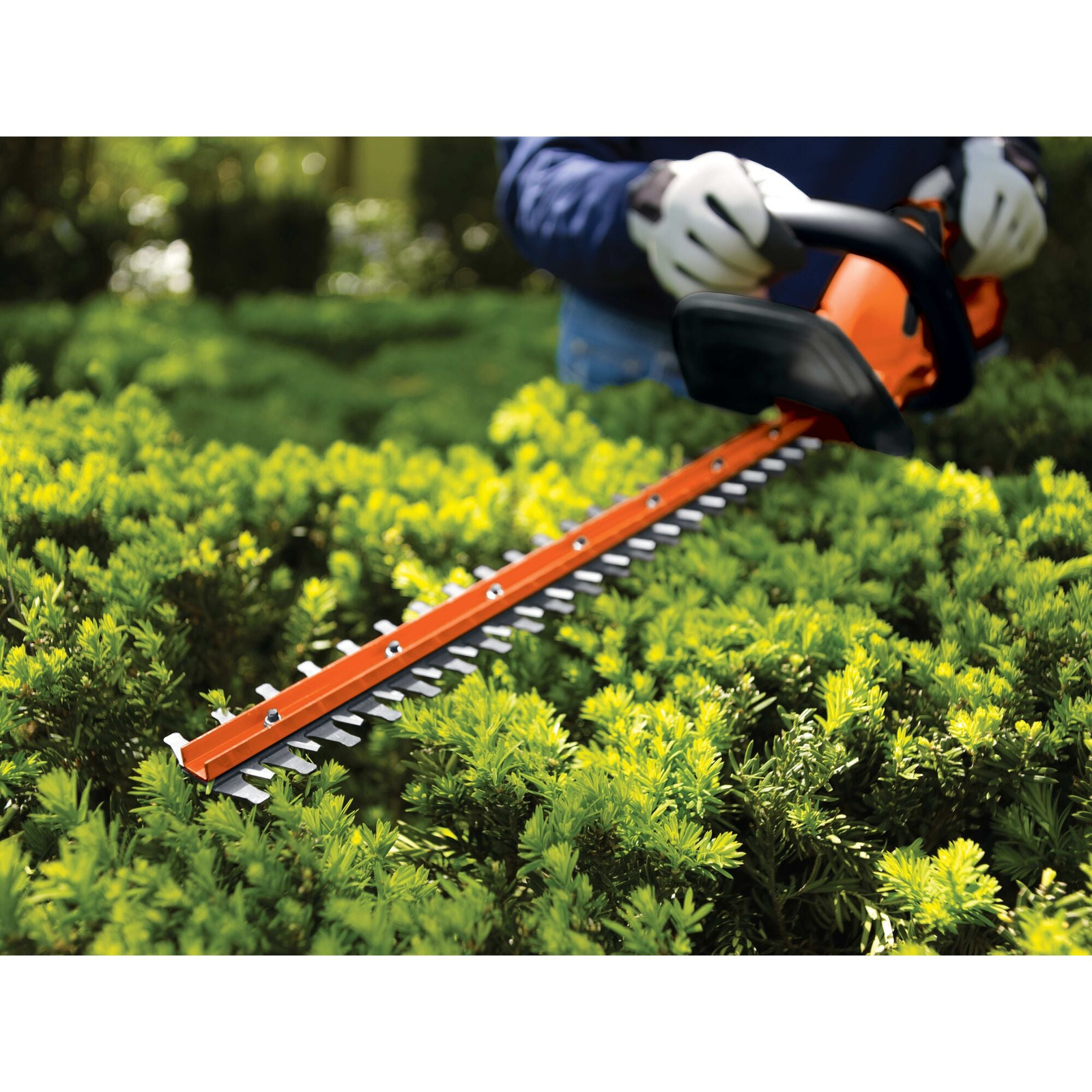 BLACK+DECKER 20V MAX* Cordless Hedge Trimmer, 22-Inch - LHT2220