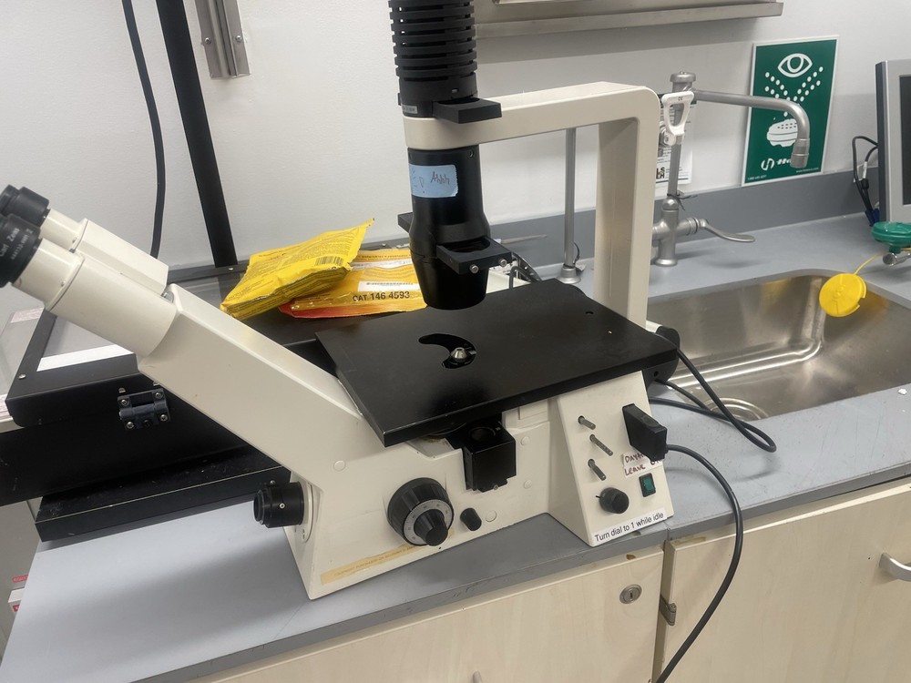 CARL ZEISS AXIOVERT 25 INVERTED PHASE CONTRAST MICROSCOPE with 4 objectives