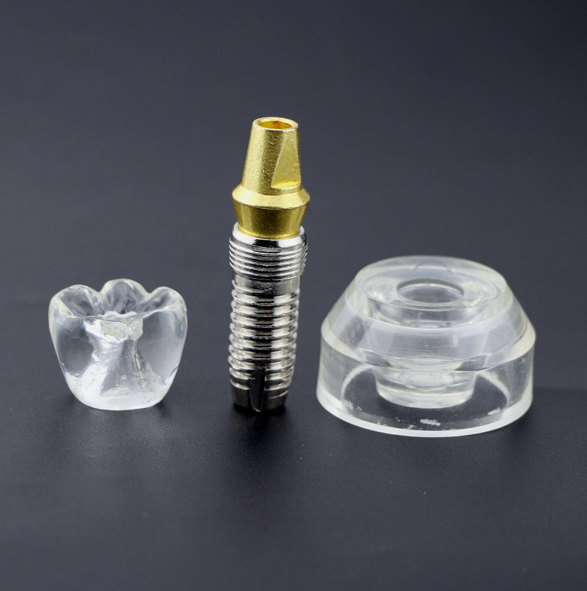 Dental Implant Model Demonstration Teeth Study Teach Models Detachable M2020