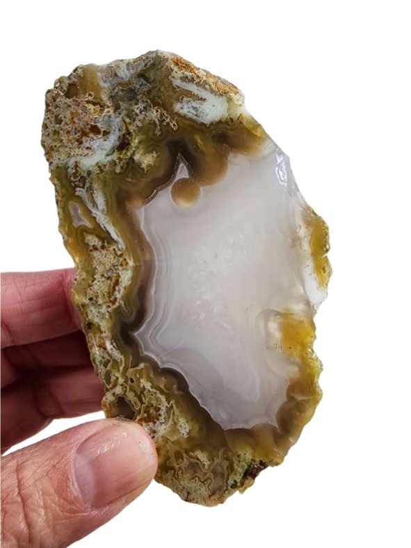 Condor Agate End Slab 64.4 grams.