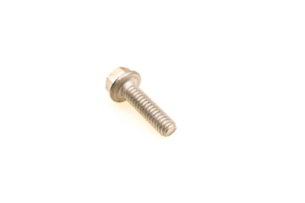 OMC 309646 Screw NOS