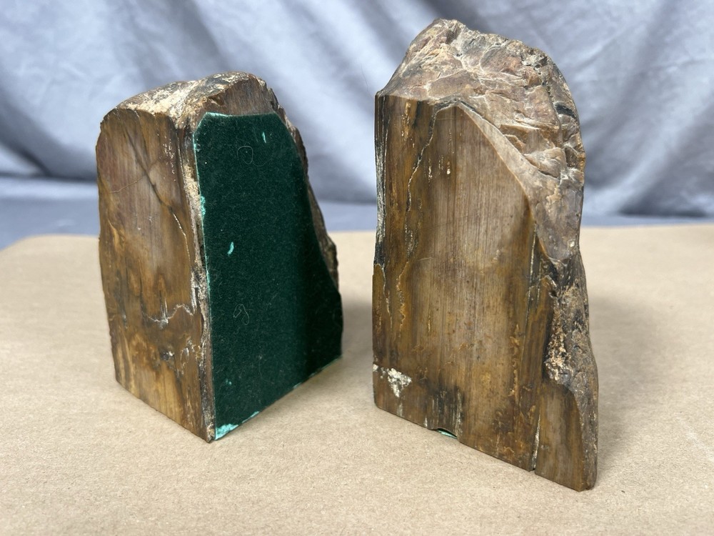 Petrified Wood Bookend Pair with felt padding