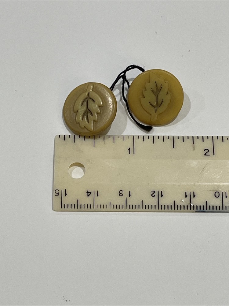 2 Vintage Celluloid Plastic Leaf Buttons 3/4”