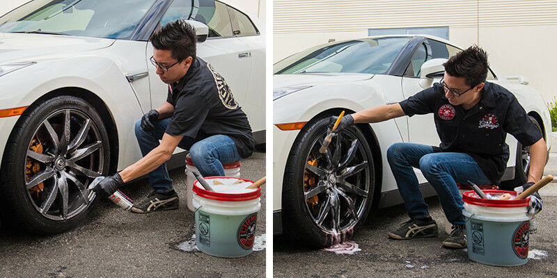 Chemical Guys SPI21516 - DeCon Pro Iron Remover (16 oz)