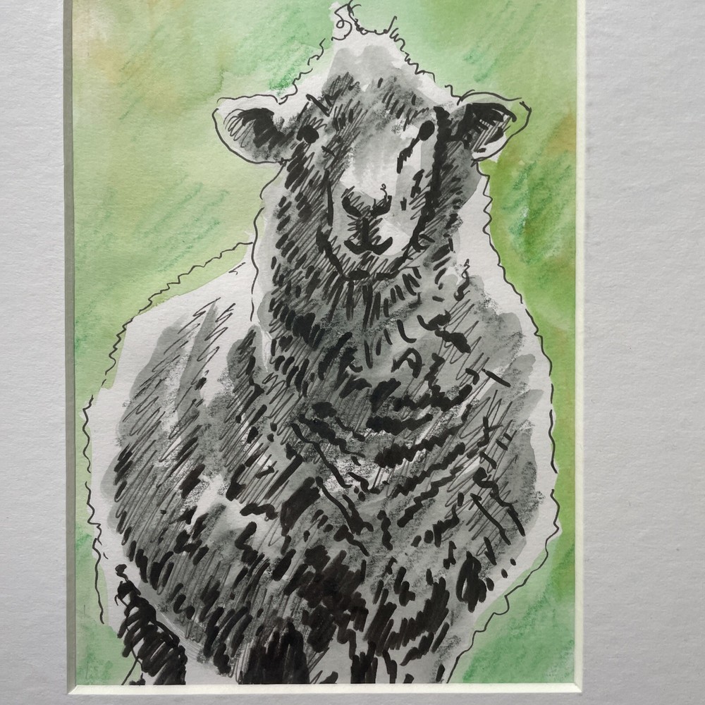 Original Sheep And Lamb Mounted Drawings X 3