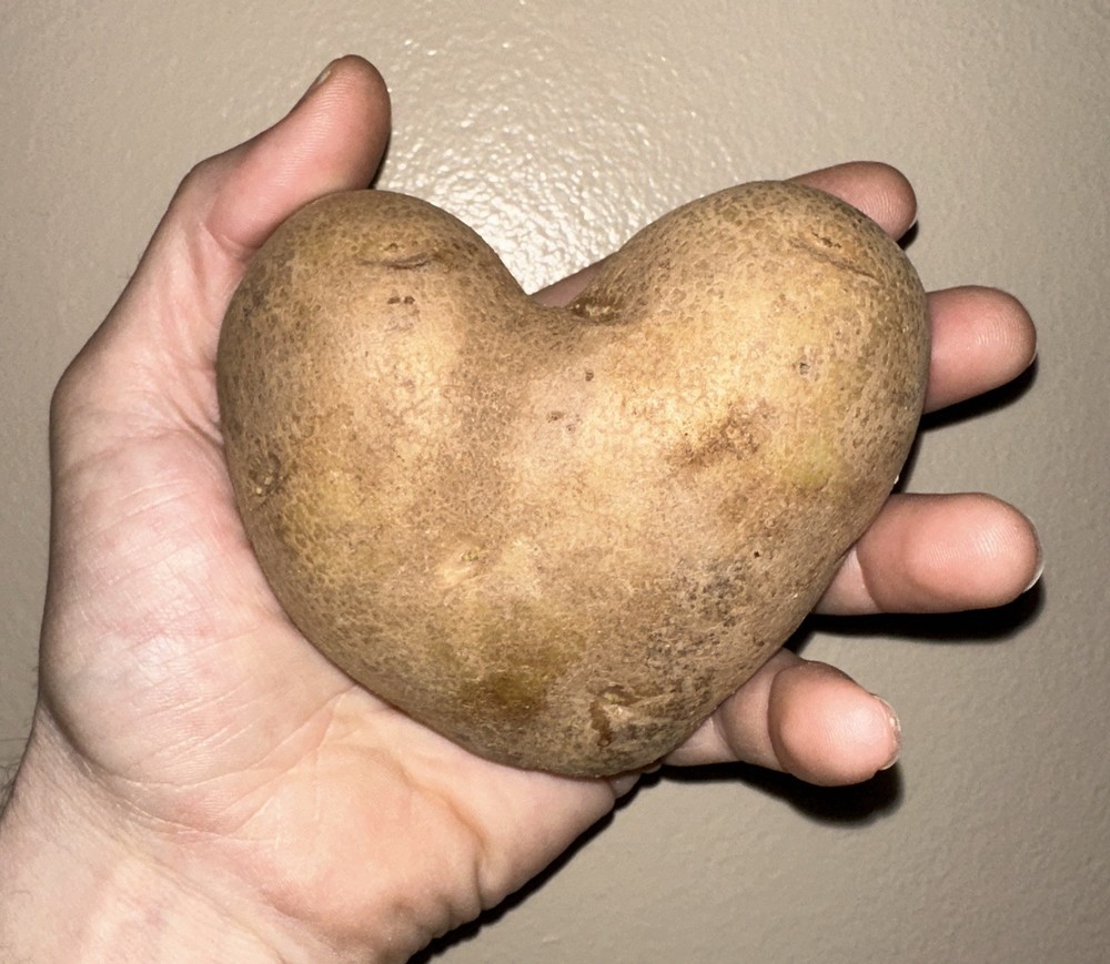 Heart Shaped Potato Potato Easter potato