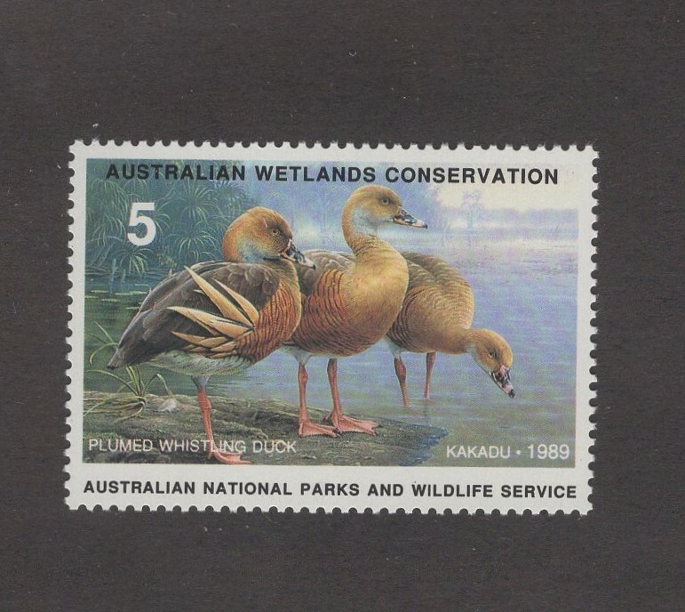 AD1 - Australia Duck Stamp. Single. MNH.