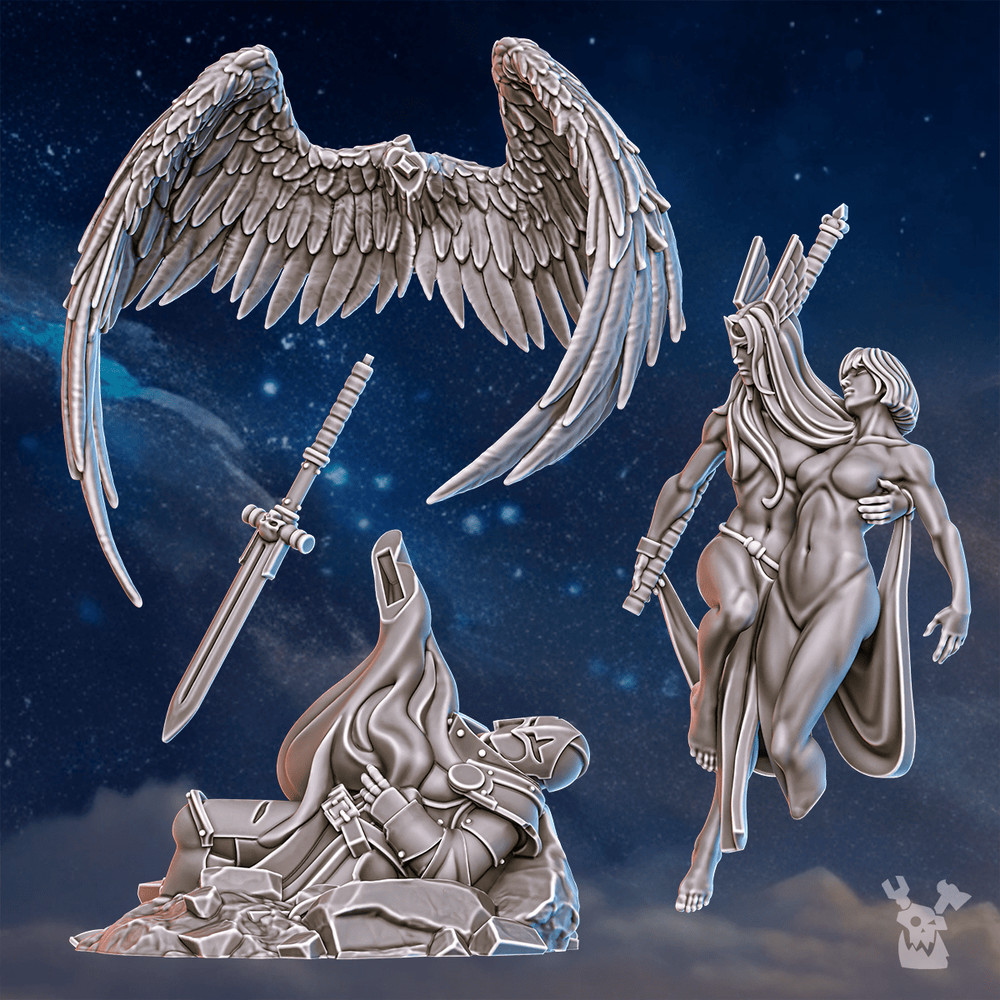 STORMPRIDE VALKYRIE WARMASTER AIR