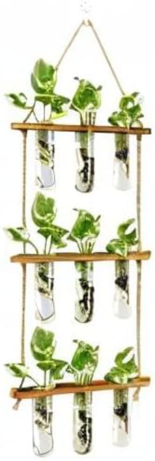Wall Hanging Propagation Station with Wooden Stand Glass Tubes Tiered Plante...
