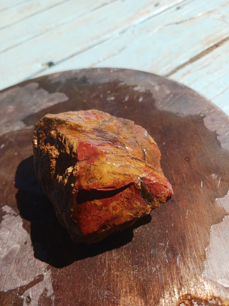 Jasper Agate With Silicized Veinlets Throughout Specimen Red Yellow Jasper