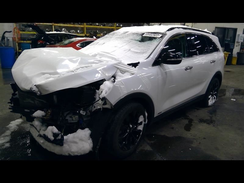 Rh Passenger Side 2020 Sorento Camera/Projector Sku#3424745