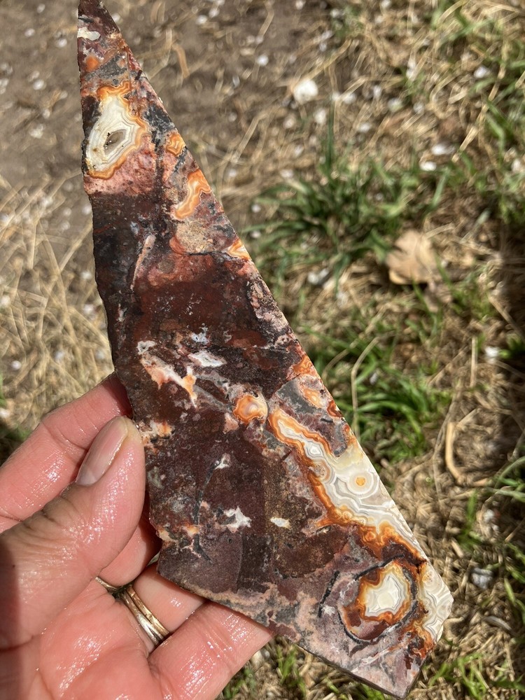 Crazy Lace Agate Slab (Mexico)