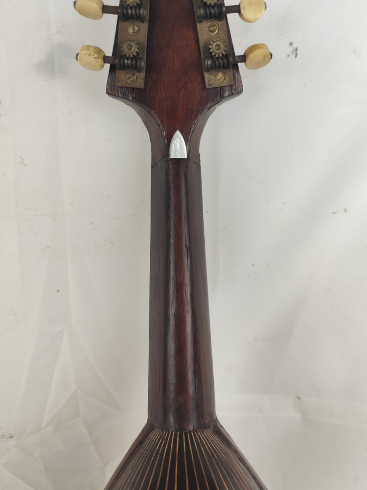 Mandolin 4/4 Francesco Solomone 1905 Naples 曼陀林 만돌린マンドリン