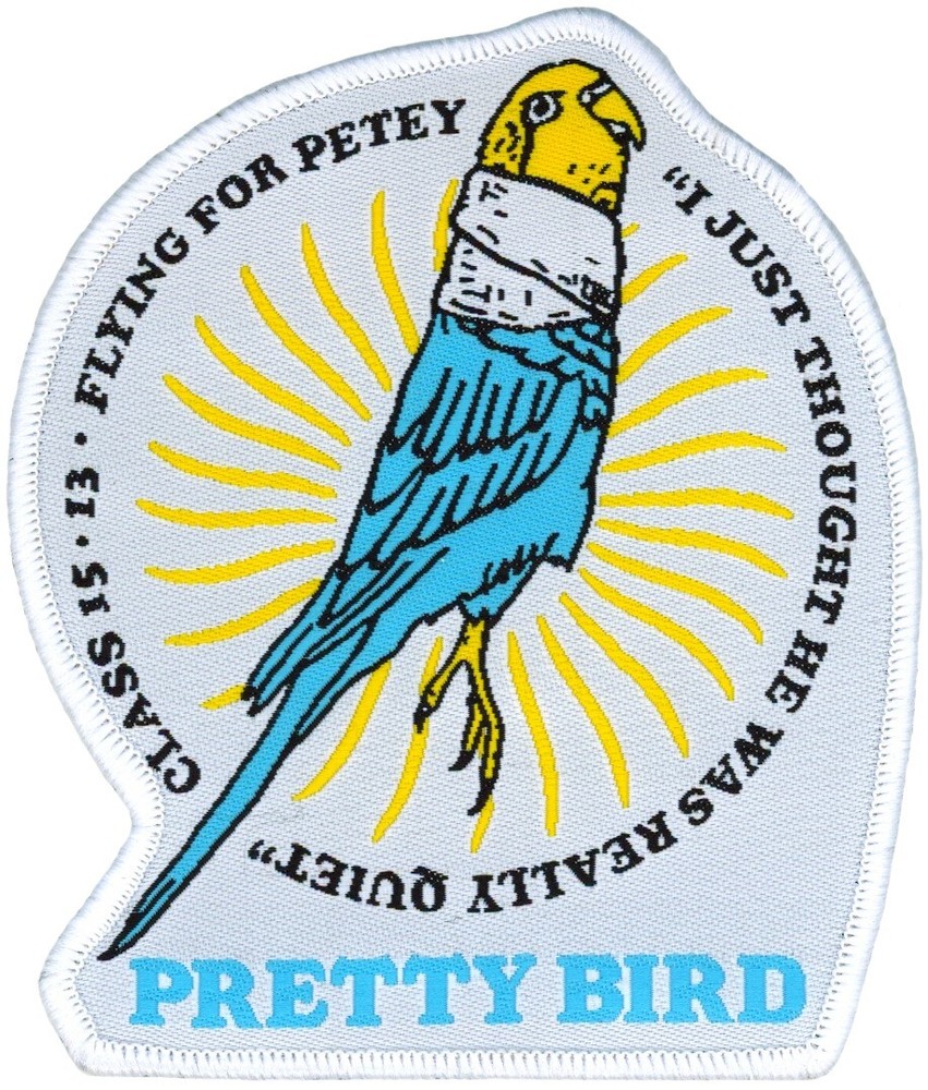 USAF COLUMBUS AFB SPECIALIZED UNDERGRADUATE PILOT TRAINING CLASS 2015-13 PATCH