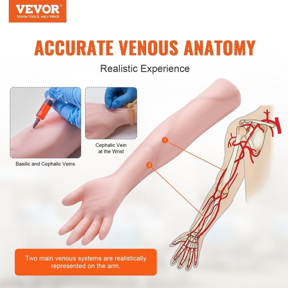 Intravenous Practice Kit with Anatomical Arm Model, Adjustable