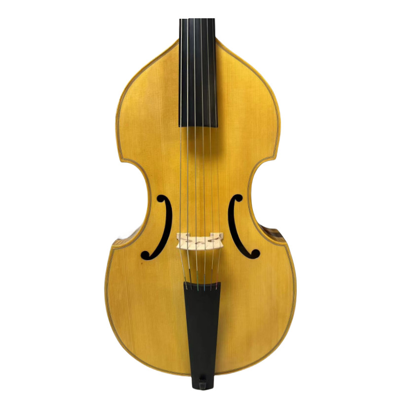 Special Offer! Song Maestro 6 string 27" viola da gamba ,carving scroll