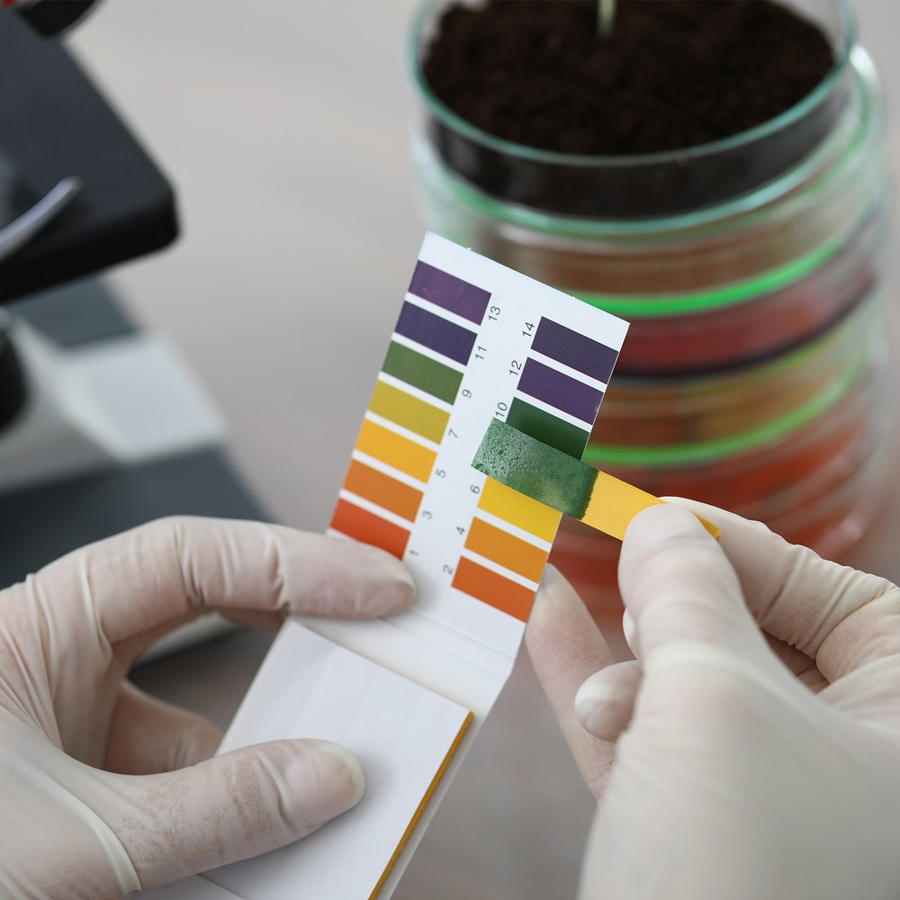 PH Test Strips 3.8-5.4pcs 80 Indicators Sunflower Maps Tester