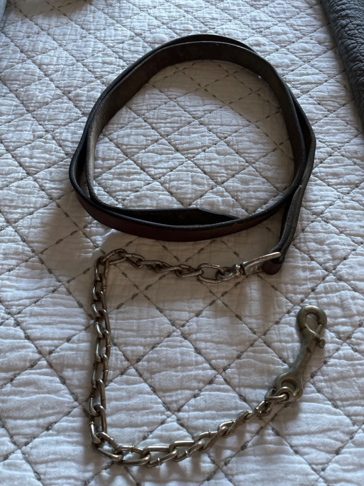 New Dover Equine bridal