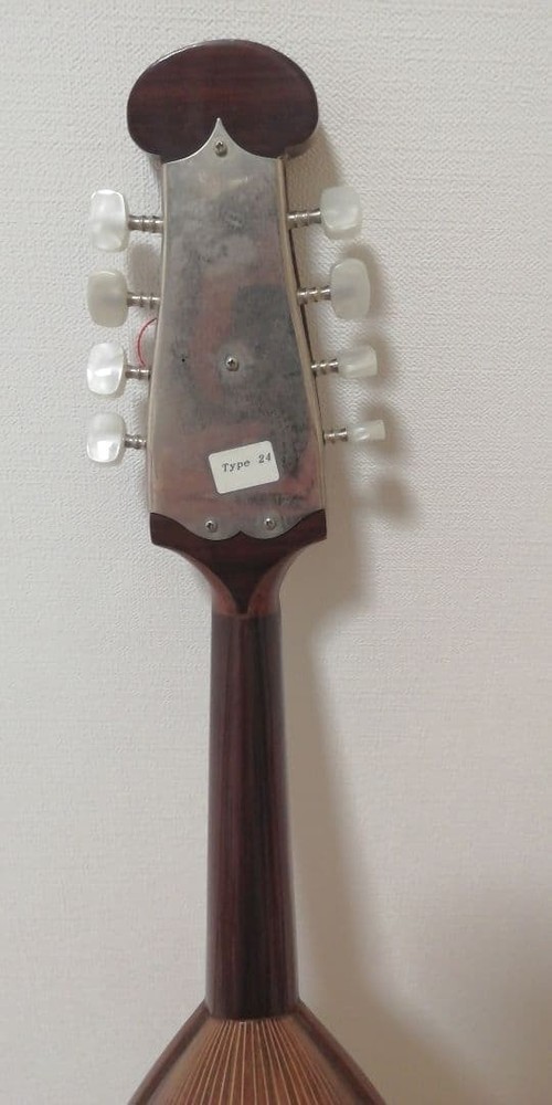 Calace Calace Mandolin Mandolin [No.24]